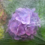 17g Non-Woven Frost Protect Fleece 1.1m x 5m - Home & Garden > Lawn & Garden > Gardening > Landscape Fabric Garden tools & Accesories