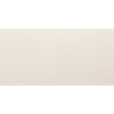 Dome Matt White 250mm x 500mm (13 per Box) -