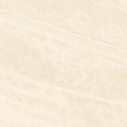 Lake Ivory Vitrified Porcelain Paving Pack - All Sizes -