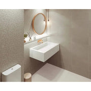 Dome Matt White 250mm x 500mm (13 per Box) -