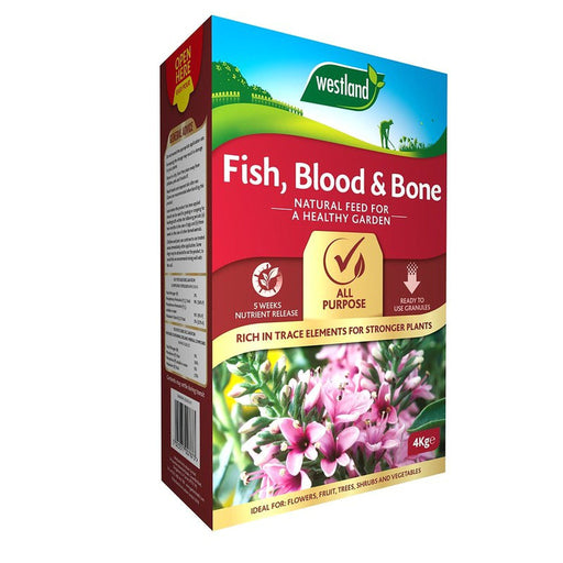 Fish, Blood and Bone -