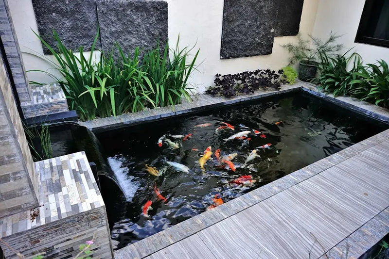 Apex Fiberglass Pond Kits - Double Layer 450g Matting in 4 Stunning Colors for Long-Lasting Beauty