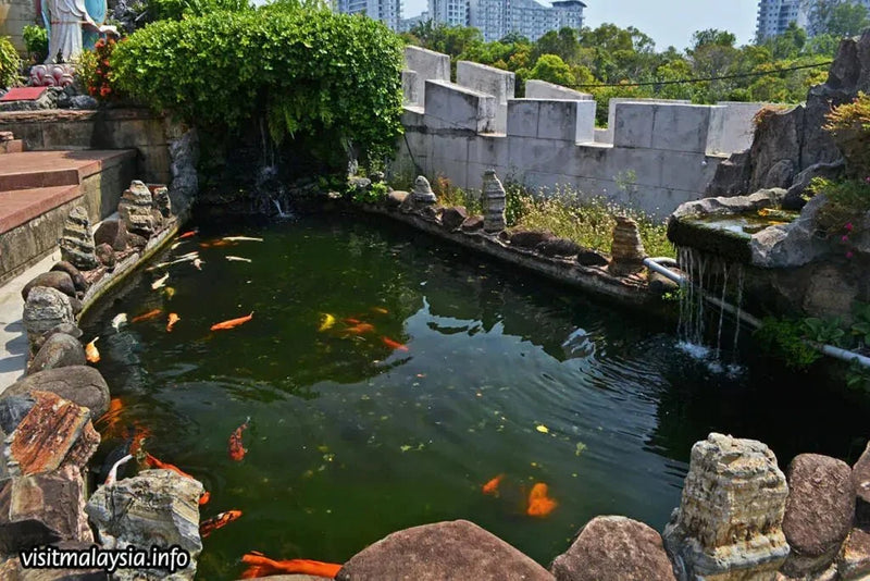 Apex Fiberglass Pond Kits - Double Layer 450g Matting in 4 Stunning Colors for Long-Lasting Beauty