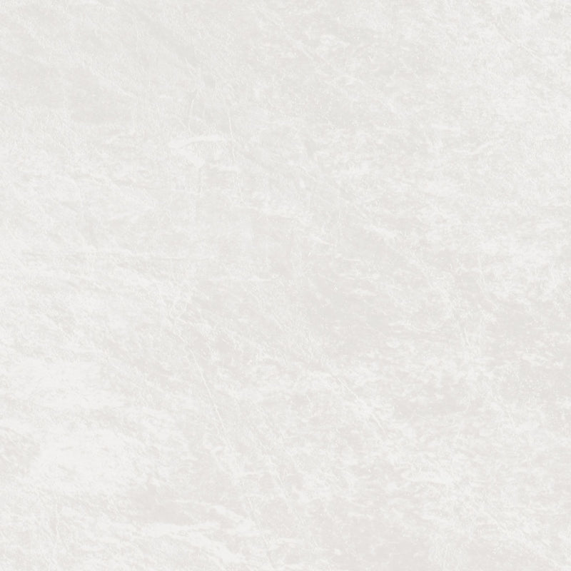 Aria F2255 Polar White - Monolith Texture - White Core - Hardware > Building Materials > Countertops