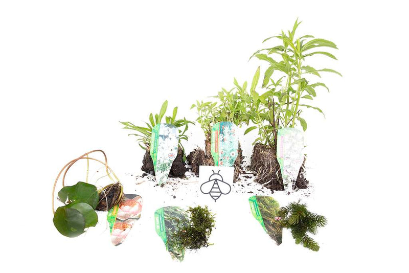 Premium Pond Starter Packs - Pond topup Packs - Oxygenating - Compost and Pots