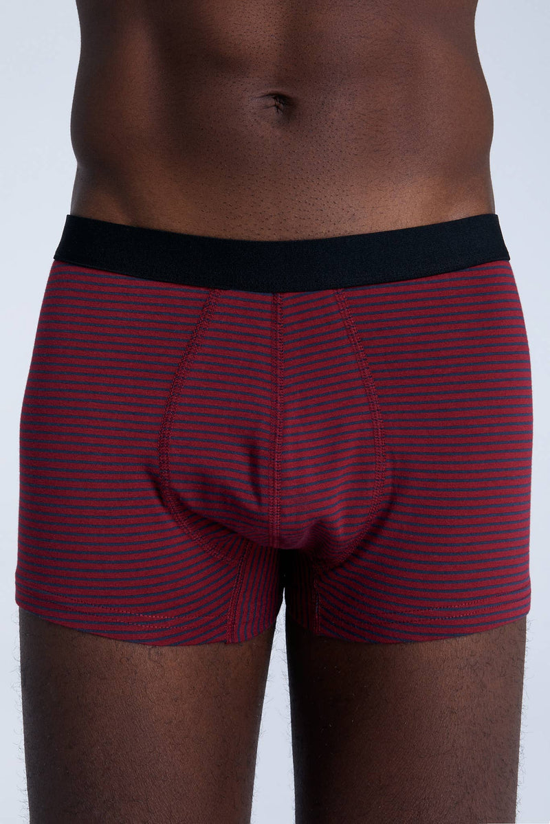 Organic Cotton Trunks: Mens