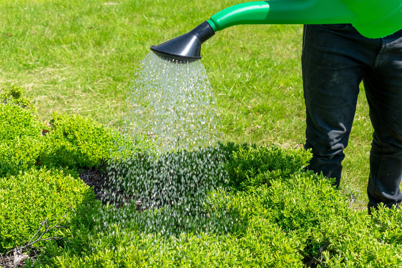 Garden Watering Can 10 Litres - Home & Garden > Lawn & Garden Garden watering