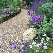 20mm Trent Valley Gravel - Home & Garden > Lawn & Garden > Gardening Gravel