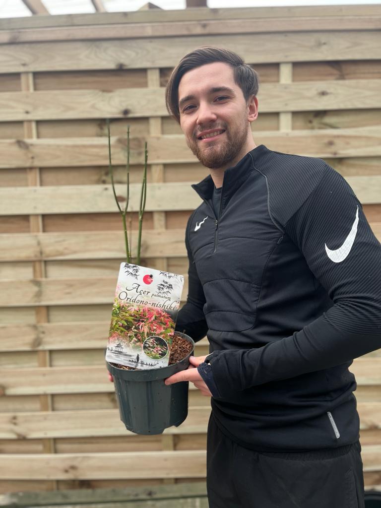 Acer palmatum Oridono-nishiki 3L - Home & Garden > Plants > Indoor & Outdoor Plants > Landscaping & Garden Plants