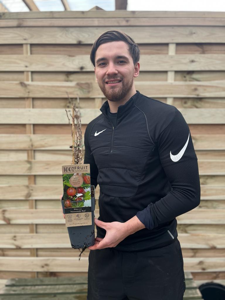 Gooseberry 'Ribes' Hinnonmaki Rod 2L /4L -