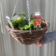 Plant Your Own - Strawberry Basket/Container -