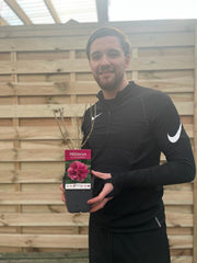 Hibiscus syriacus 'Duc De Brabant' 1.5L -