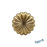 M4TEC Knob Handle Brushed Brass Doors or Cupboards VH3 Series - Hardware > Hardware Accessories > Cabinet Hardware > Cabinet Knobs & Handles Cabinet Knobs & Handles
