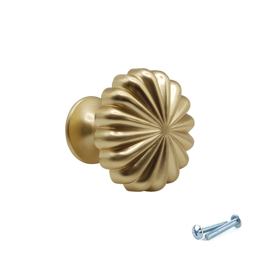 M4TEC Knob Handle Brushed Brass Doors or Cupboards VH3 Series - Hardware > Hardware Accessories > Cabinet Hardware > Cabinet Knobs & Handles Cabinet Knobs & Handles