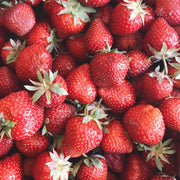 Plant Your Own - Strawberry Basket/Container -