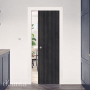 Modern interior door with vertical black panel design in a home setting