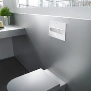 PL1 In-Wall Dual Flush Toilet Plate - All Colours - Bathrooms