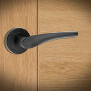 Black door handle on a wooden door