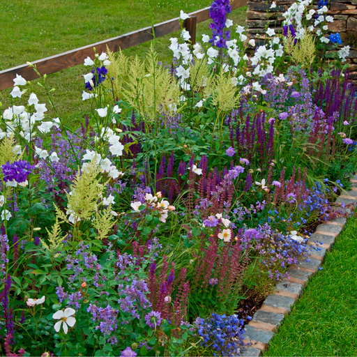 Cottage Garden Ready-made Border - Home & Garden Garden Plants