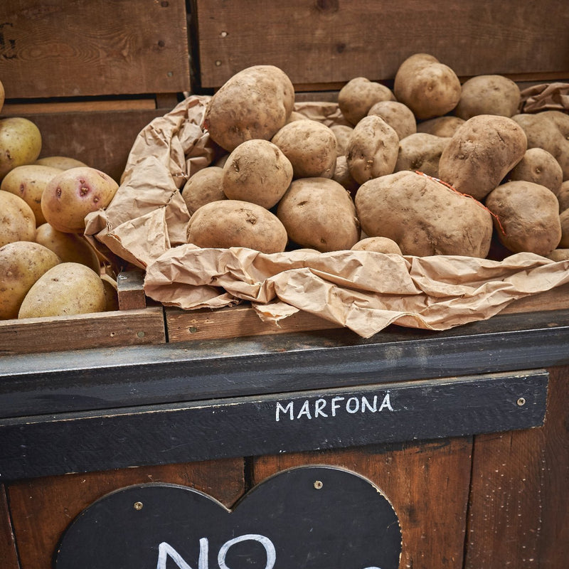 Marfona Seed Potatoes 2KG - Home & Garden > Plants > Seeds, Bulbs & Accessories > Seeds & Seed Tape > Seeds