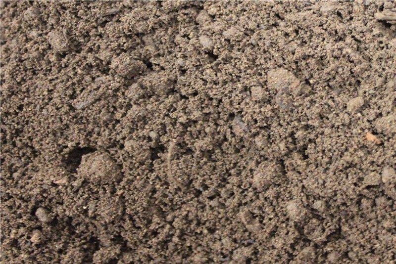 High Grade Multi-Purpose Garden Topsoil - Home & Garden > Lawn & Garden > Gardening > Sands & Soils > Soil Topsoil